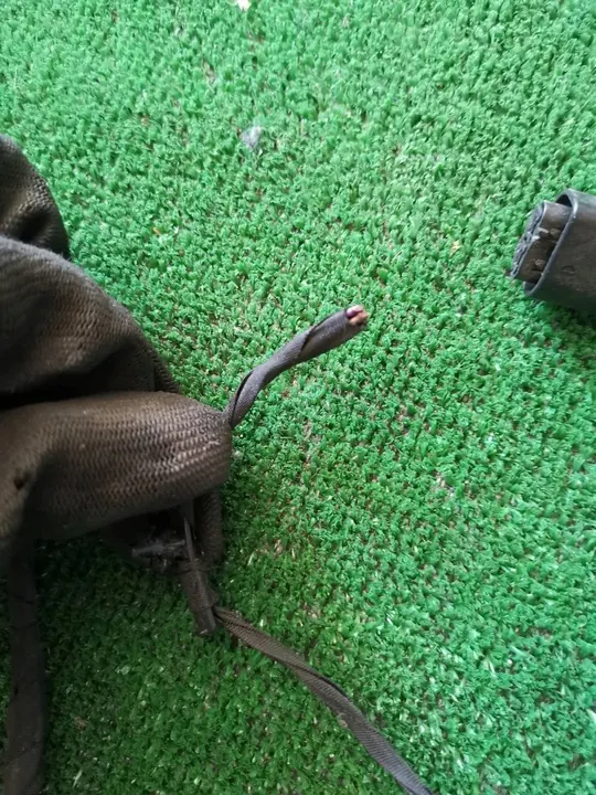 BMW 5 GT F07 Etupuskuri Kaapeli 9290325 image 3