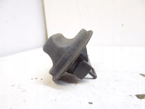 POLTTOAINETULPPAN LAGUNA II 1.8 16V image 2