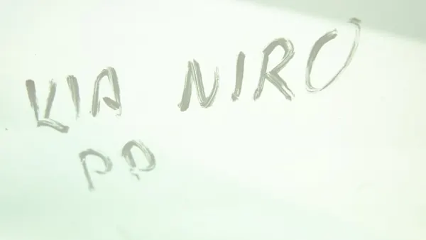 Vitre Portière Avant Droit KIA NIRO I OEM AS2 image 5