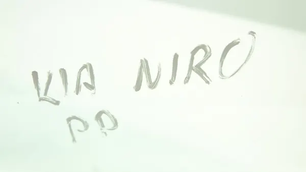Vitre Portière Avant Droit KIA NIRO I OEM AS2 image 6