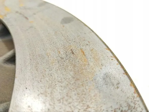 Remschijf achter Porsche Taycan 2023 OEM 224763 image 4