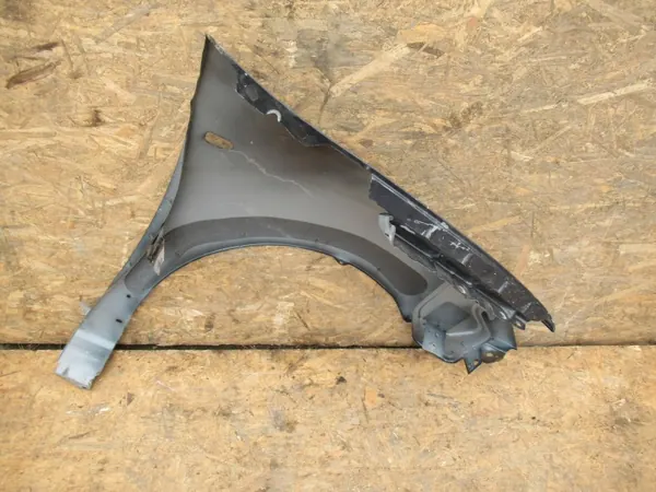 Para-lamas dianteiro esquerdo OEM AVN5022 Dacia Sandero II Stepway image 3