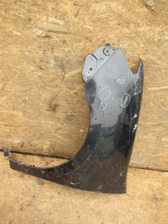 Para-lamas dianteiro esquerdo OEM AVN5022 Dacia Sandero II Stepway image 7