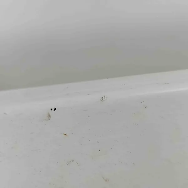 Linker Deursill VW PASSAT B7 2.0L Diesel image 7