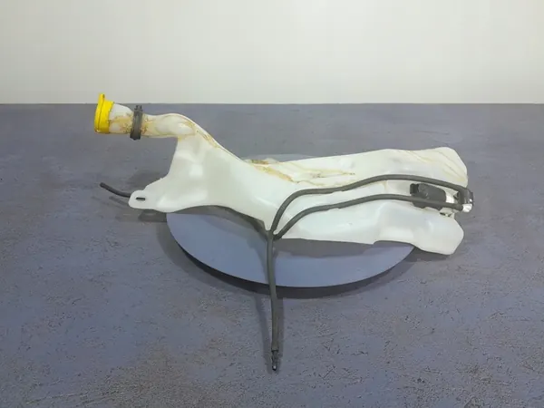 PESUVESIASTIA RENAULT MEGANE IV 289108311R image 2