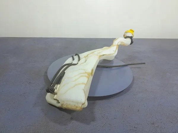 PESUVESIASTIA RENAULT MEGANE IV 289108311R image 3