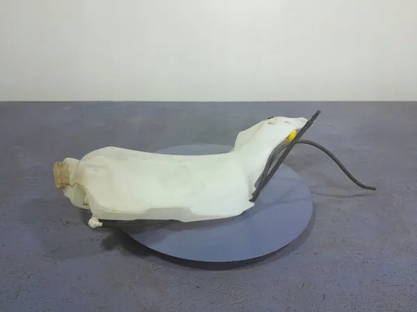 PESUVESIASTIA RENAULT MEGANE IV 289108311R image 4