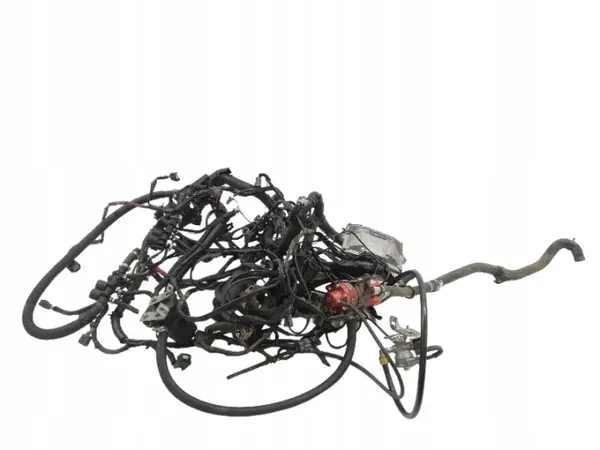 Lovato LPG-sarja OEM 67R-010249 6 Sylinterille image 2