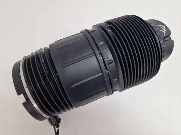 Porsche Panamera 971 Molla Aria Posteriore 971616025H 971616026H image 10