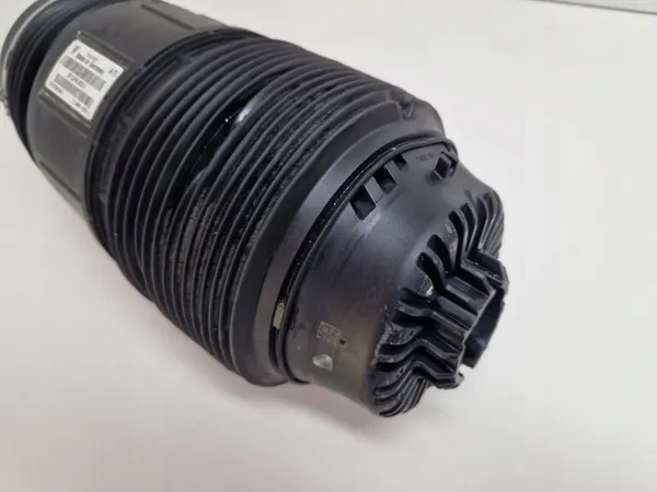 Porsche Panamera 971 Molla Aria Posteriore 971616025H 971616026H image 5