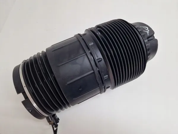 Porsche Panamera 971 Molla Aria Posteriore 971616025H 971616026H image 6