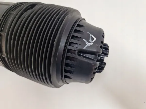 Porsche Panamera 971 Molla Aria Posteriore 971616025H 971616026H image 7