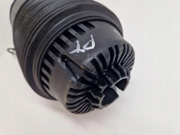 Porsche Panamera 971 Molla Aria Posteriore 971616025H 971616026H image 8