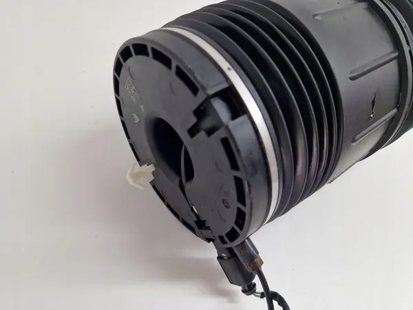 Porsche Panamera 971 Molla Aria Posteriore 971616025H 971616026H image 9