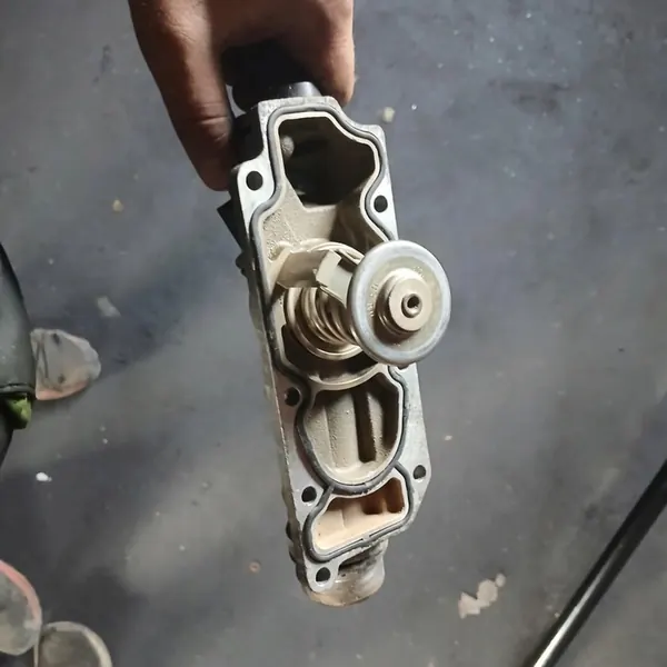 Termostato Volkswagen Passat W8 image 3