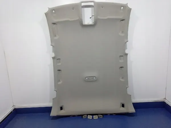 Plafonnier Audi Q5 I 8R 08- OEM Ambit-982381- image 2