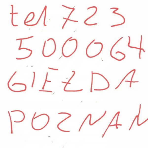 Hiilikuitupeilit Polo 6R 09- image 2