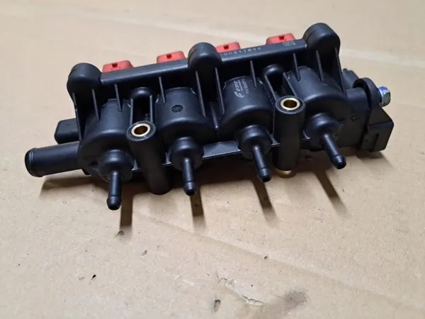 Carrera de inyección GLP OEM 55240715 para Fiat image 6