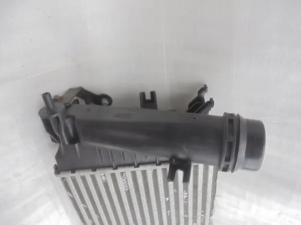 Intercooler Nissan Renault 144962803R image 4