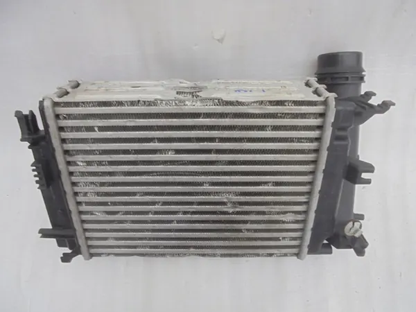Intercooler Nissan Renault 144962803R image 6