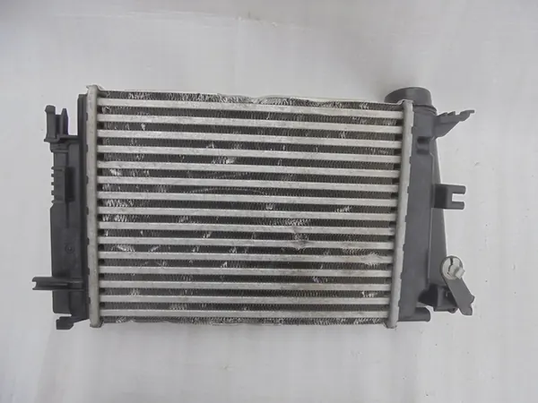 Intercooler Nissan Renault 144962803R image 9