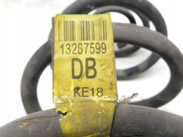 Molle posteriori 13287599 - Chevrolet Cruze 08-16 image 4