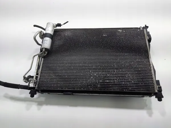 Kylarrubrikset Nissan Qashqai I J10 1.5 DCI 2010-13 image 5