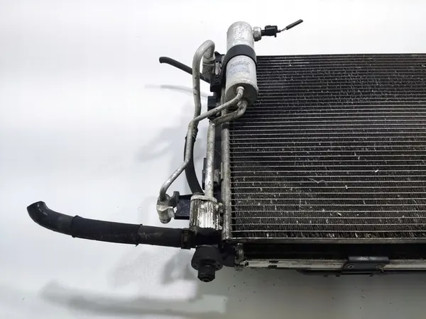 Kylarrubrikset Nissan Qashqai I J10 1.5 DCI 2010-13 image 6