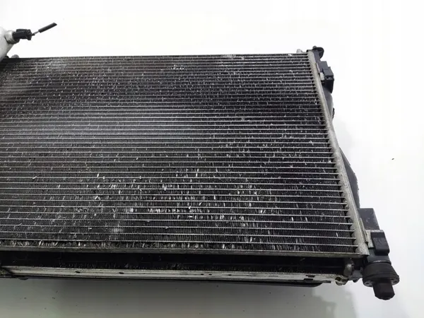 Kylarrubrikset Nissan Qashqai I J10 1.5 DCI 2010-13 image 7