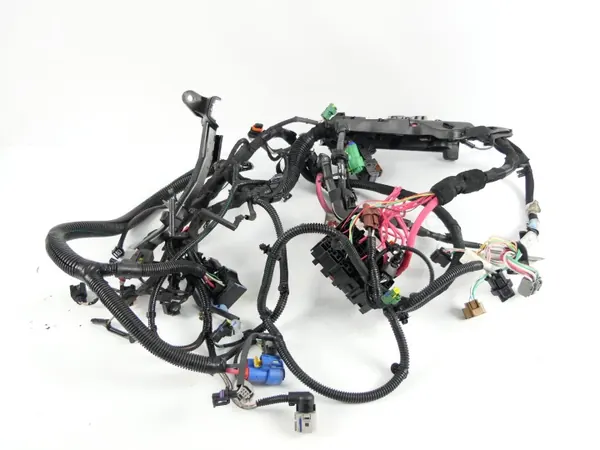 Harness Motor OEM 240110096R Renault Laguna III image 5