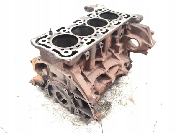 Ford Motorblock YMF6 2.0 EcoBlue Diesel 130PS image 2