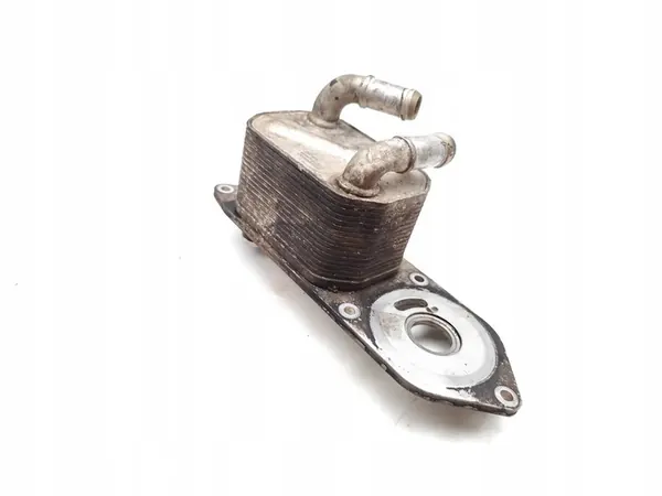 Enfriador de aceite Ford Transit 2.0 EcoBlue RWD Diesel 2018 image 2