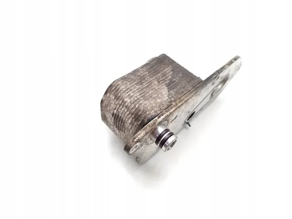 Enfriador de aceite Ford Transit 2.0 EcoBlue RWD Diesel 2018 image 6