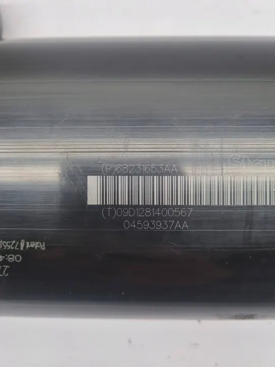 Polttoainehöyryhiilisuodatin OEM 68231653AA Dodge image 4