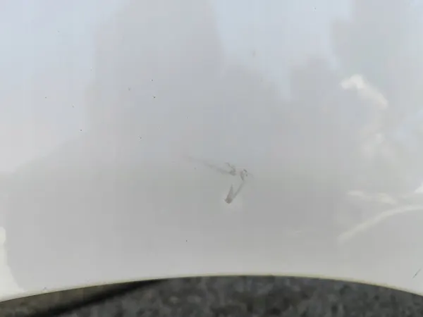 Parafango anteriore sinistro FIAT 500 07-15 268/A image 4