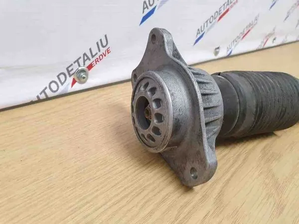 Ammortizzatore Posteriore Sinistro BMW 5 GRAN TURISMO (F07) image 2