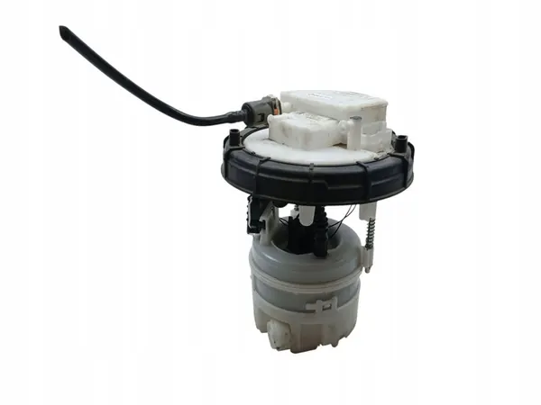 Brandstofpomp Peugeot 308 II T9 1.2 THP 9674699980 image 3