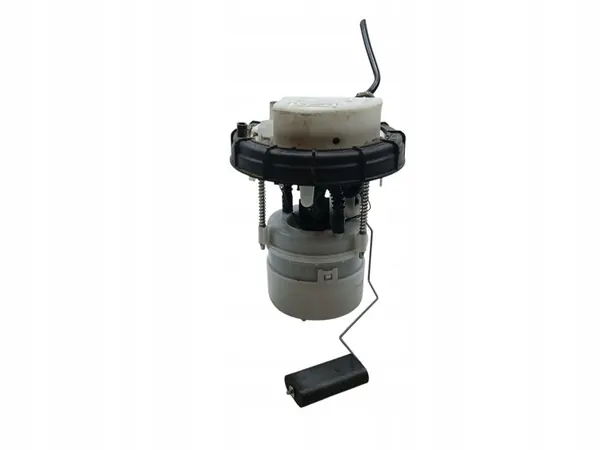 Brandstofpomp Peugeot 308 II T9 1.2 THP 9674699980 image 4