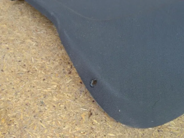 Achterplank AUDI A3 8V 5-Deurs 8V4867769 image 5