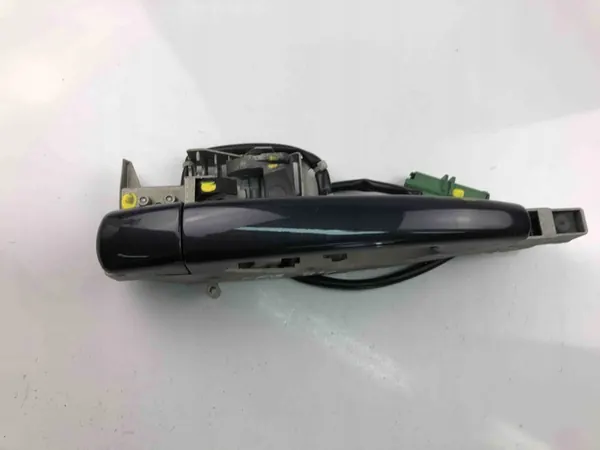 Maniglia porta anteriore sinistra Citroën C6 9101ER image 2