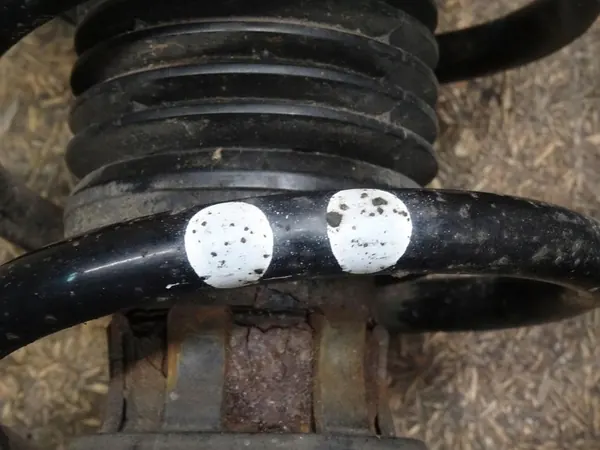 Ammortizzatore McPherson VW Sharan Seat Alhambra 2.0 TDI 7N0413031J image 7