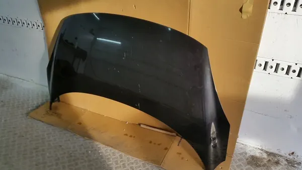 Motorlock Renault Scenic III image 3