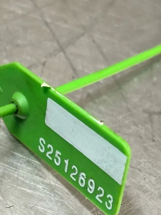 Bomba de direção assistida Renault Kangoo I 7700840105 image 4