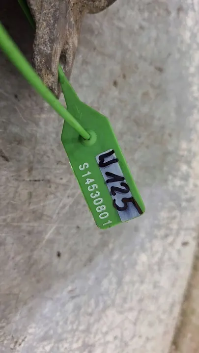 Set Ammortizzatori Posteriori Skoda Yeti VW Golf VI 1K0513029MQ image 9