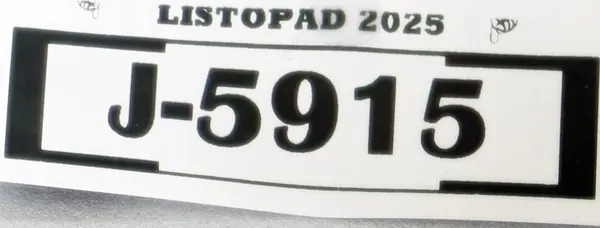 VW Passat B7 Sedan Vasemman Takaluukun Kromilista 3AE807459 image 8