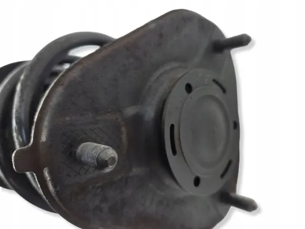 Amortecedor dianteiro esquerdo Toyota C-HR I OEM 48520F4020 image 3