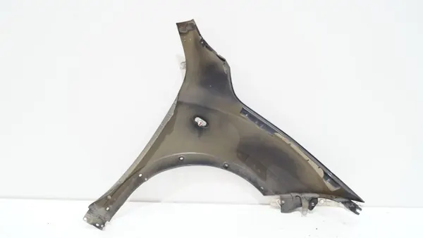 Para-lamas dianteiro esquerdo OEM ACF13860 Nissan JUKE F15 image 3