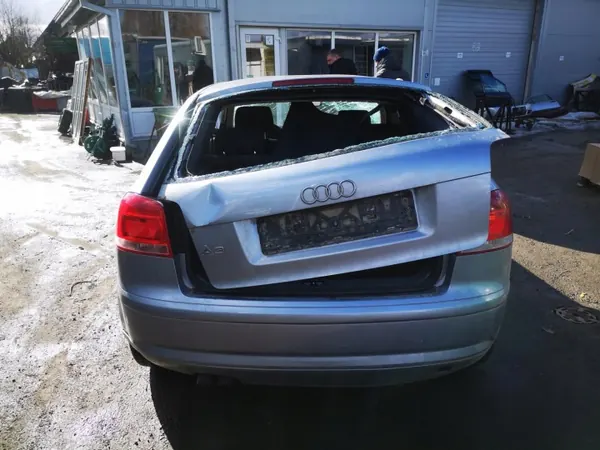 Oliepomp OEM 1134603 voor Audi A3 1.9L 2003 image 9