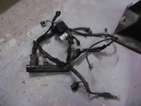 Harness Kia Sportage 4 OEM 91850-F1410 image 2