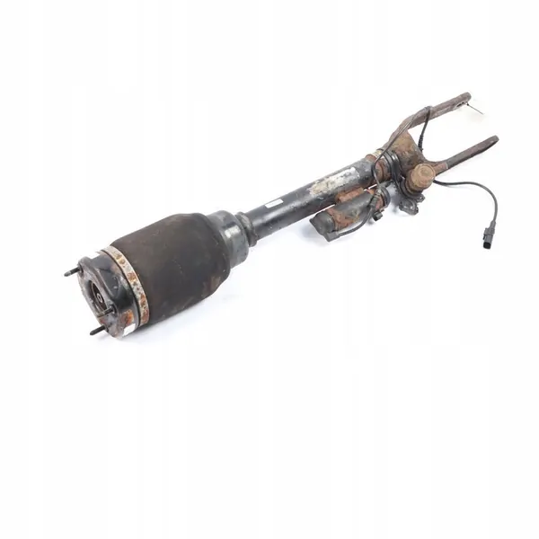 Amortizzatore Posteriore Pneumatico BMW X5 F15 6795013 image 2